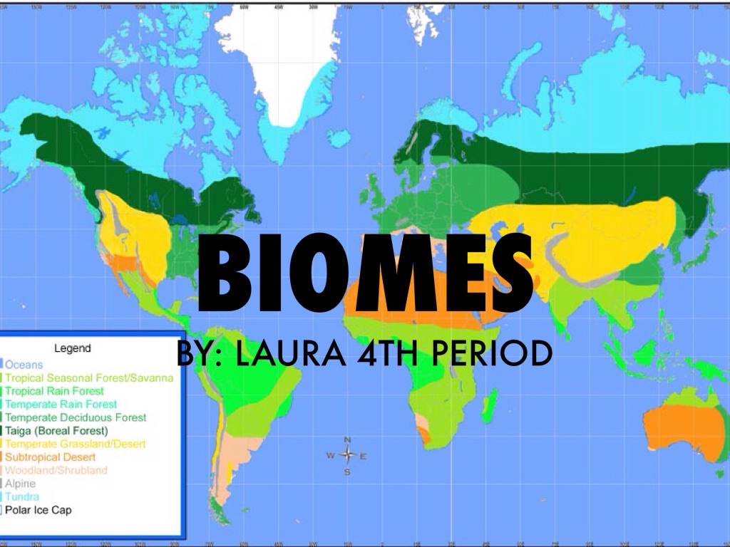 Biomes by L W